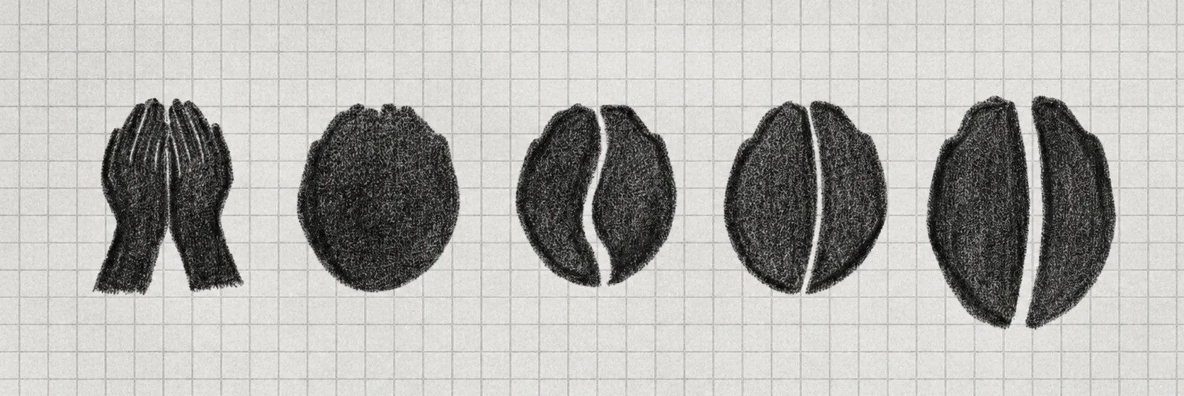 Five charcoal sketches on grid paper: cupped hands, a circle, then three stages of the split bean, ending at the final mark