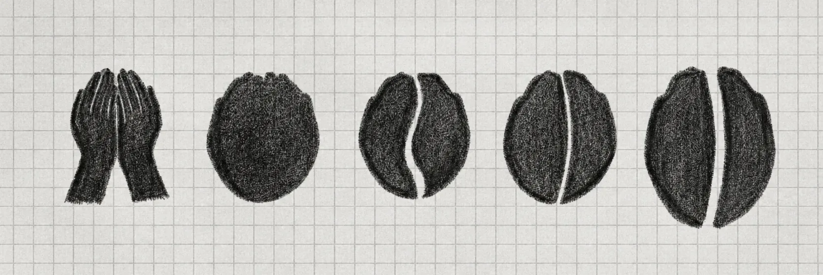 Five charcoal sketches on grid paper: cupped hands, a circle, then three stages of the split bean, ending at the final mark