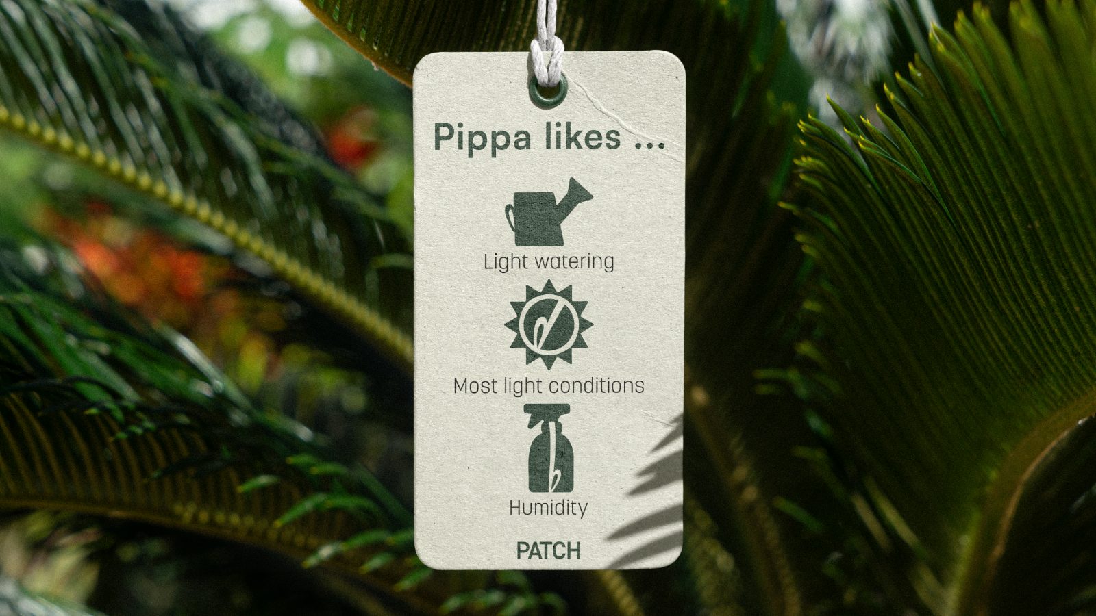 Patch back label with first-person care copy
