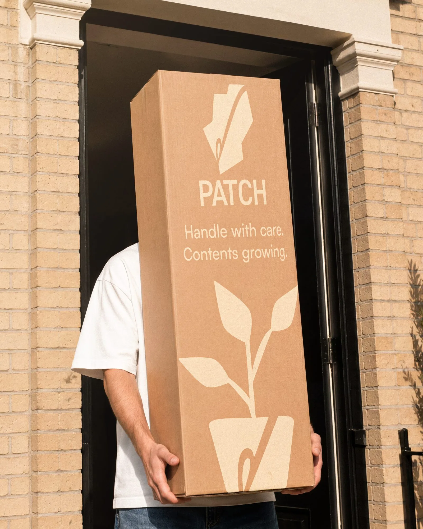 Patch box packaging