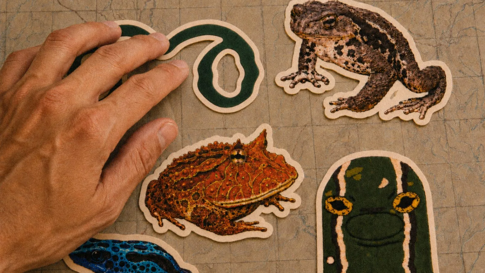 Two Frogs sticker pack